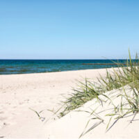 8311 Nordsee